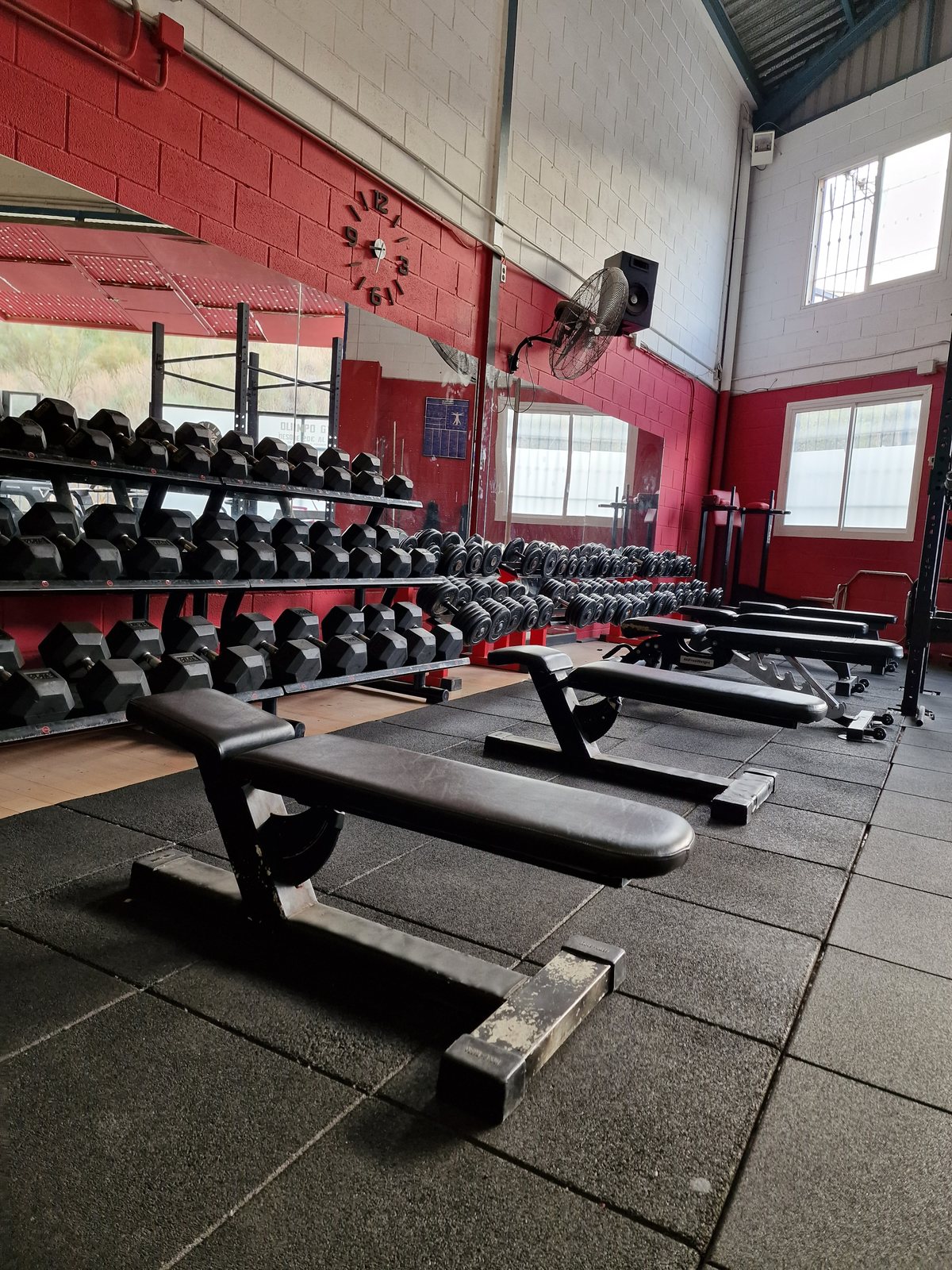 Sala de gimnasio con bancos y estantes llenos de mancuernas de peso libre.