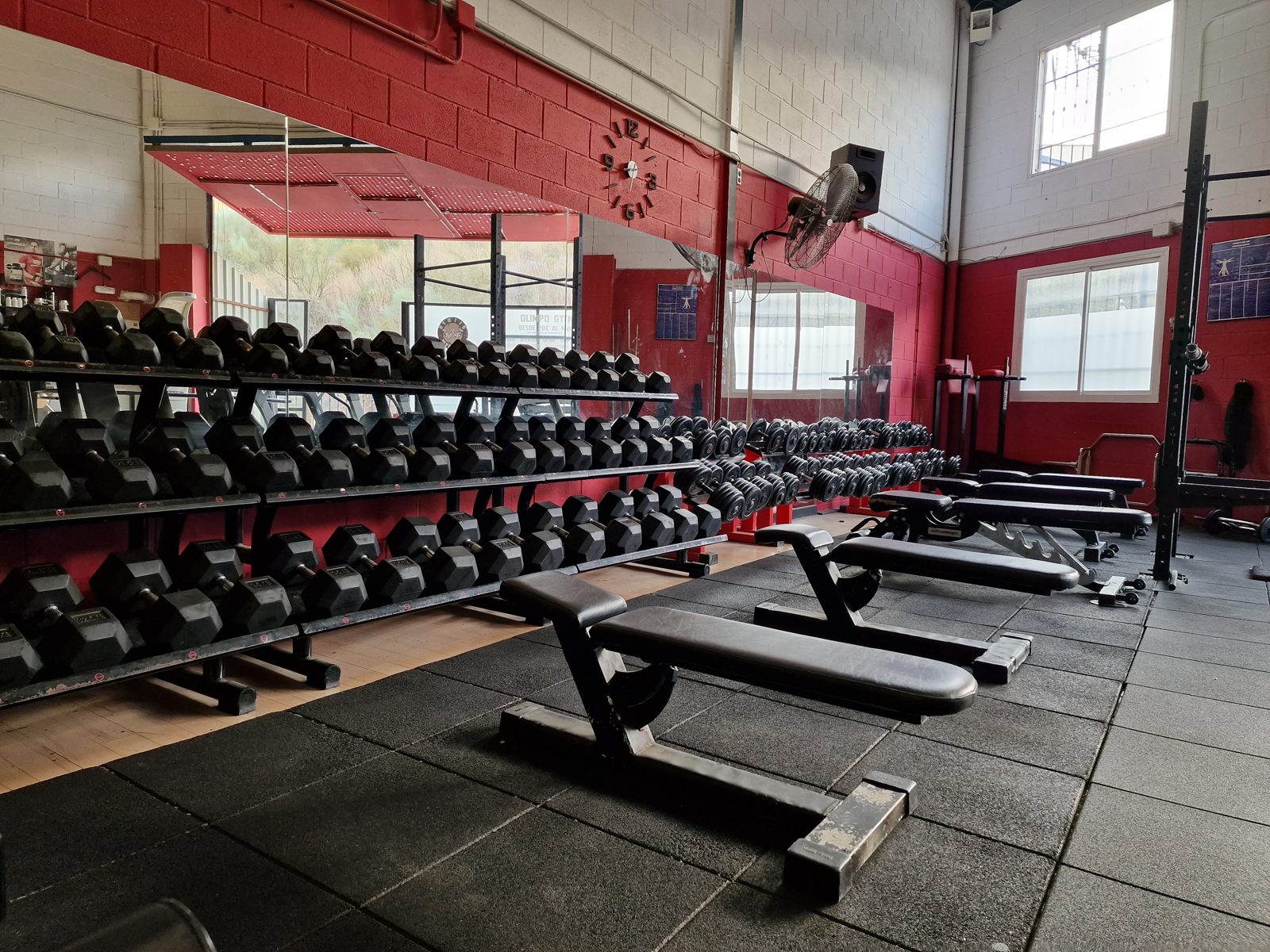 Zona de peso libre y mancuernas de Olimpo NGR Gym
